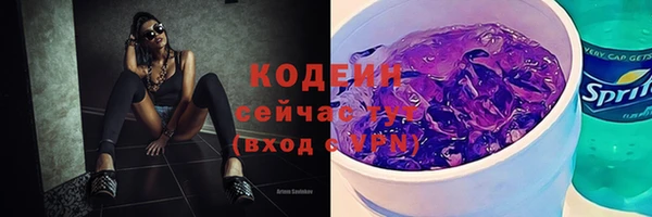 соль ск Верхний Тагил