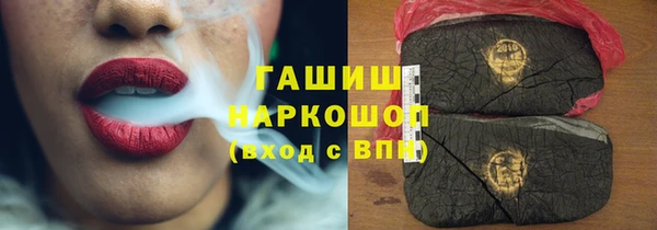 дмт Бородино