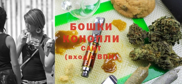 бошки Бронницы