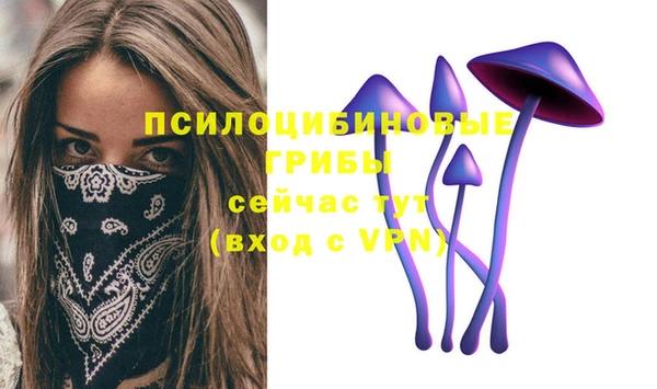 дмт Бородино