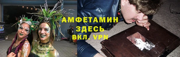 дмт Бородино