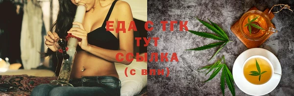 дмт Бородино